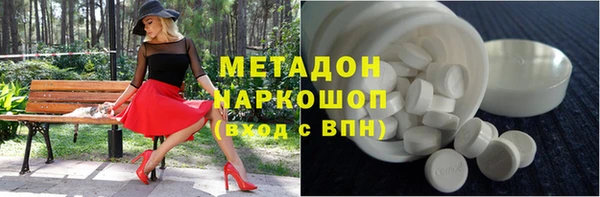 индика Надым