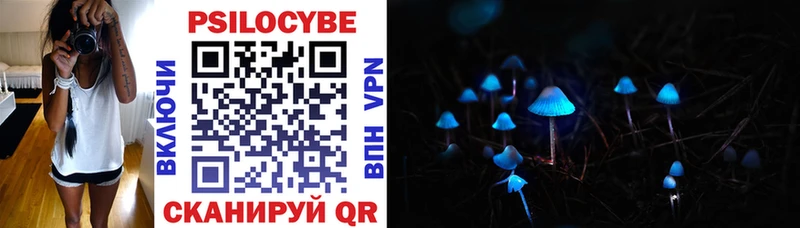 Псилоцибиновые грибы Cubensis  Северская 